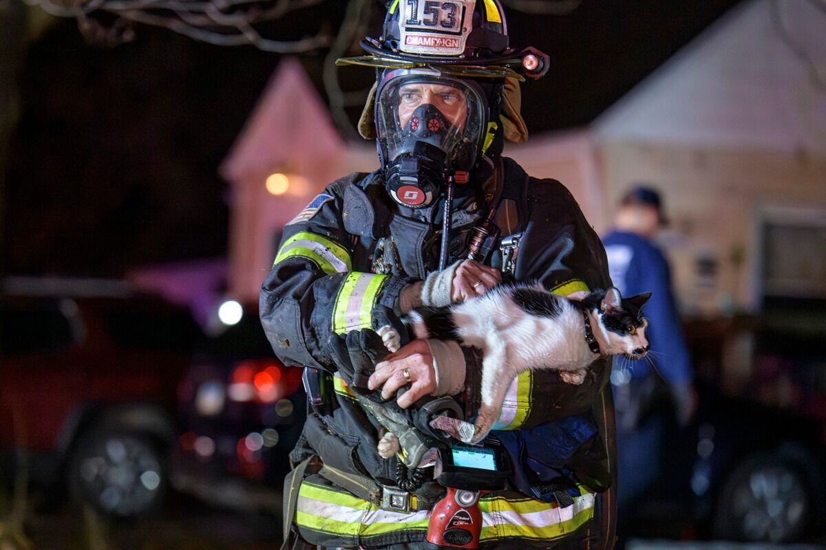 Cat saved in house fire in Champaign